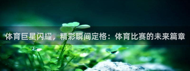 ng28娱乐网页版