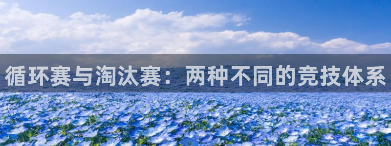 ng28下载
