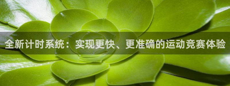 ng28南宫加拿大下载