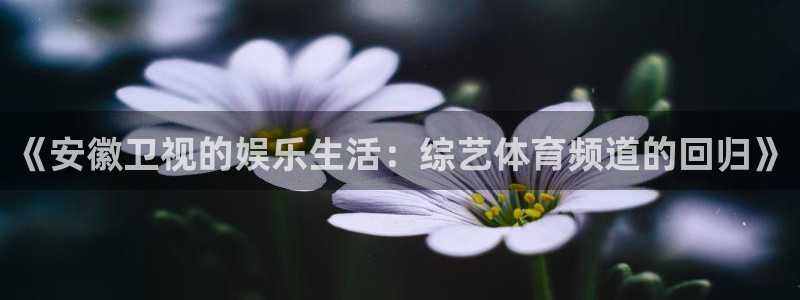 ng28ios下载最新