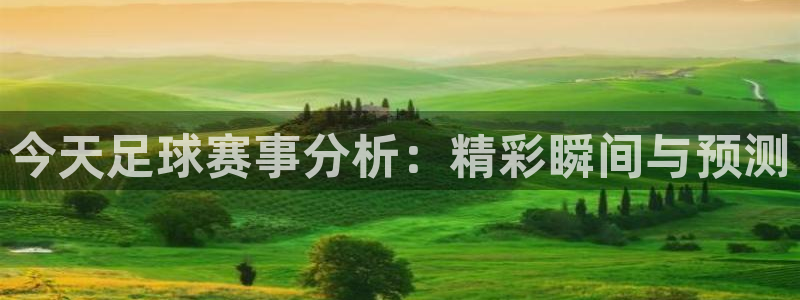 ng28苹果版免费下载
