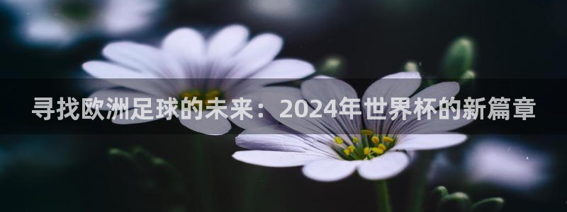 ng28app官网下载