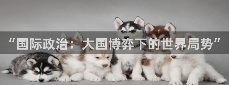 南宫娱乐ng28