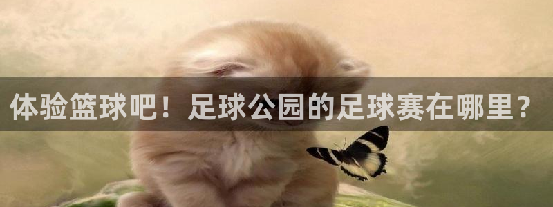 ng28官网版下载