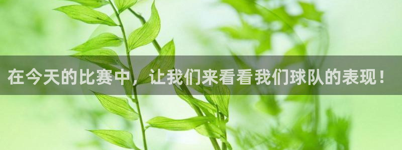 ng28官网平台