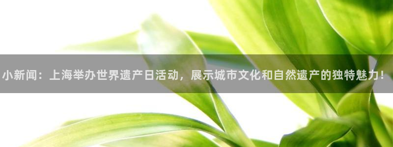 ng28加拿大下载