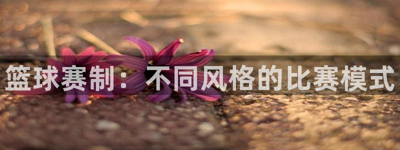 ng28怎么安装