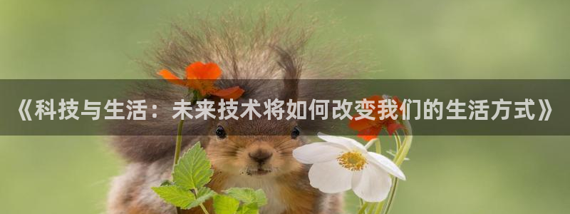 ng28娱乐相信品牌的力量