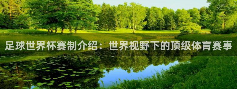 ng28娱乐官网首页