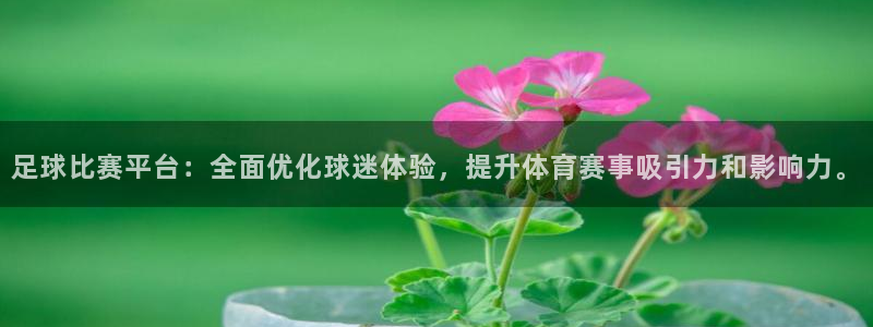 ng28app下载安装