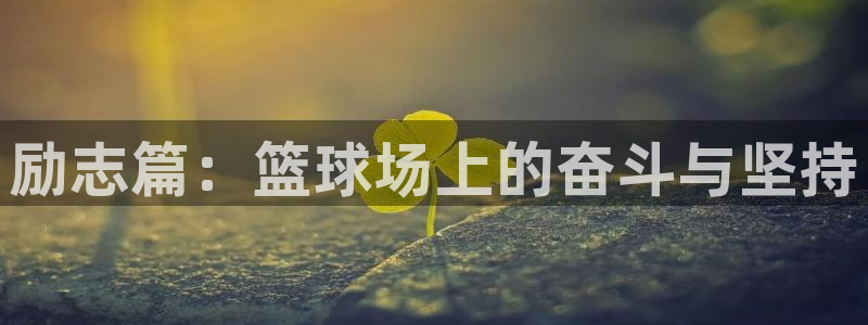 ng28注册下载链接